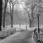 walk-along-a-snowy-path